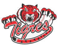 Tigres x Internacional