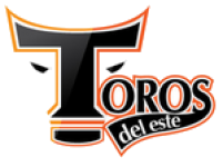 Toros del Este