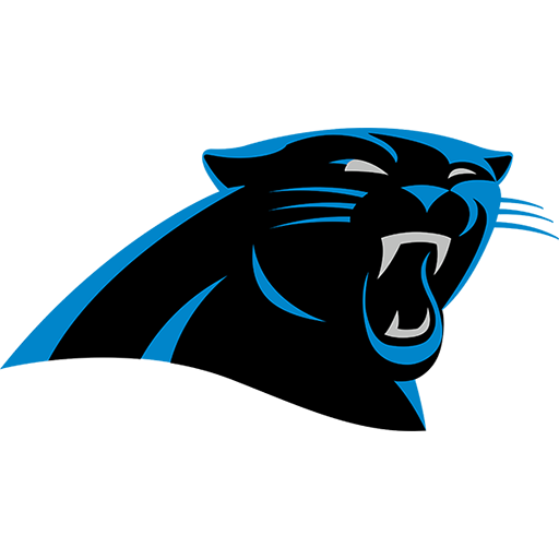 Lions x Panthers
